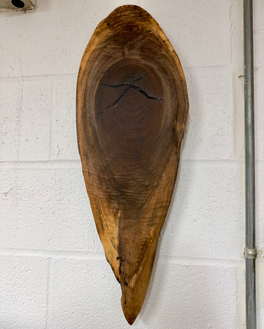 Walnut Wall Sculpture — Teardrop Form